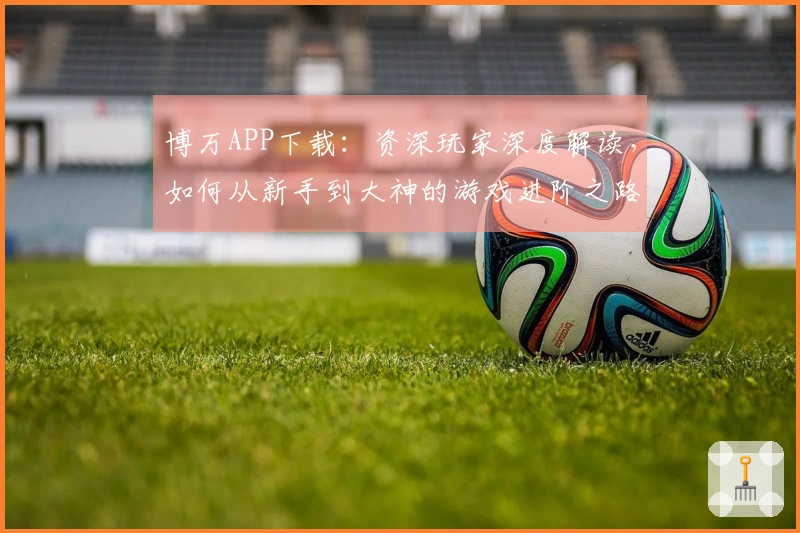 博万APP下载：资深玩家深度解读，如何从新手到大神的游戏进阶之路
