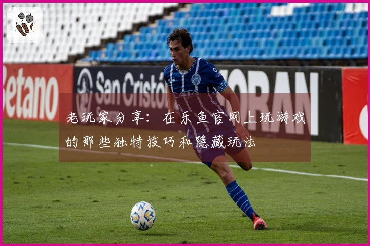 老玩家分享：在乐鱼官网上玩游戏的那些独特技巧和隐藏玩法
